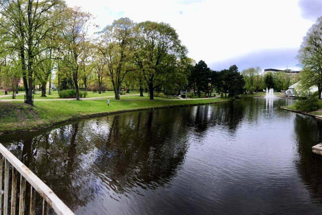 Appartement New Comfortable Nearby Promenade In 5 Minutes From Old Town Of Riga. Riga
